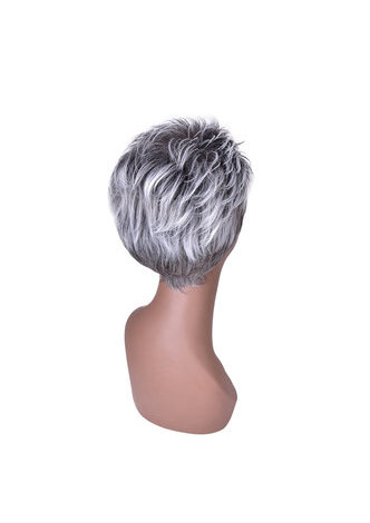 HairYouGo 6 дюймов  термостойкие Волокна короткие прямые Синтетический парик 1шт  термостойкие серебристо-серый  белый Аниме парик  2086