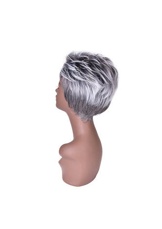 HairYouGo 6inch High Temperature Fiber Short Straight Synthetic Wigs 1pc Heat Resistant Silver Grey White Cosplay Cos Wig 2086