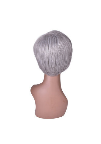 HairYouGo 6inch court perruque synthétique droite 1pc argent gris couleur Cosplay Party perruque 2098 haute température perruque de fibre