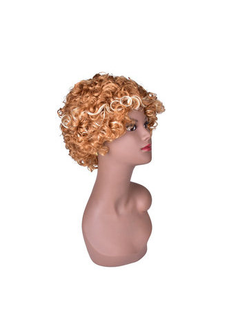 HairYouGo Short Curly Wigs for Black White Women Heat Resistant Synthetic Hair Wigs 10inch SW0115