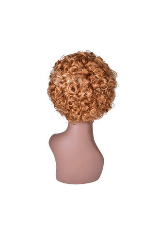 HairYouGo Short Curly Wigs for Black White Women Heat Resistant Synthetic Hair Wigs 10inch SW0115