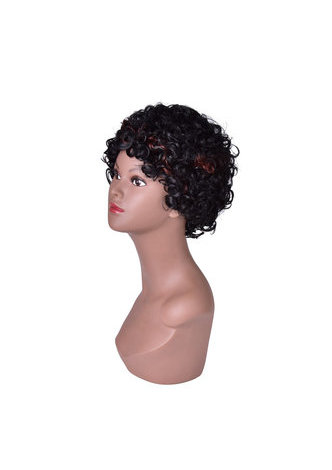 HairYouGo Short Curly Wigs for Black White Women Heat Resistant Synthetic Hair Wigs 10inch SW0115