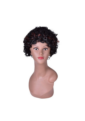 HairYouGo Short Curly Wigs for Black White Women Heat Resistant Synthetic Hair Wigs 10inch SW0115