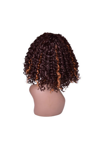 HairYouGo 13inch Ombre Brown Afro Kinky Curly Hair Medium Length Synthetic Wigs for Black Women High Temperature Fiber